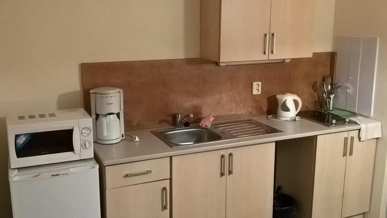 Studia Pod Lysou Apartment โรกีนีซ นัด ยีเซอโร ภายนอก รูปภาพ